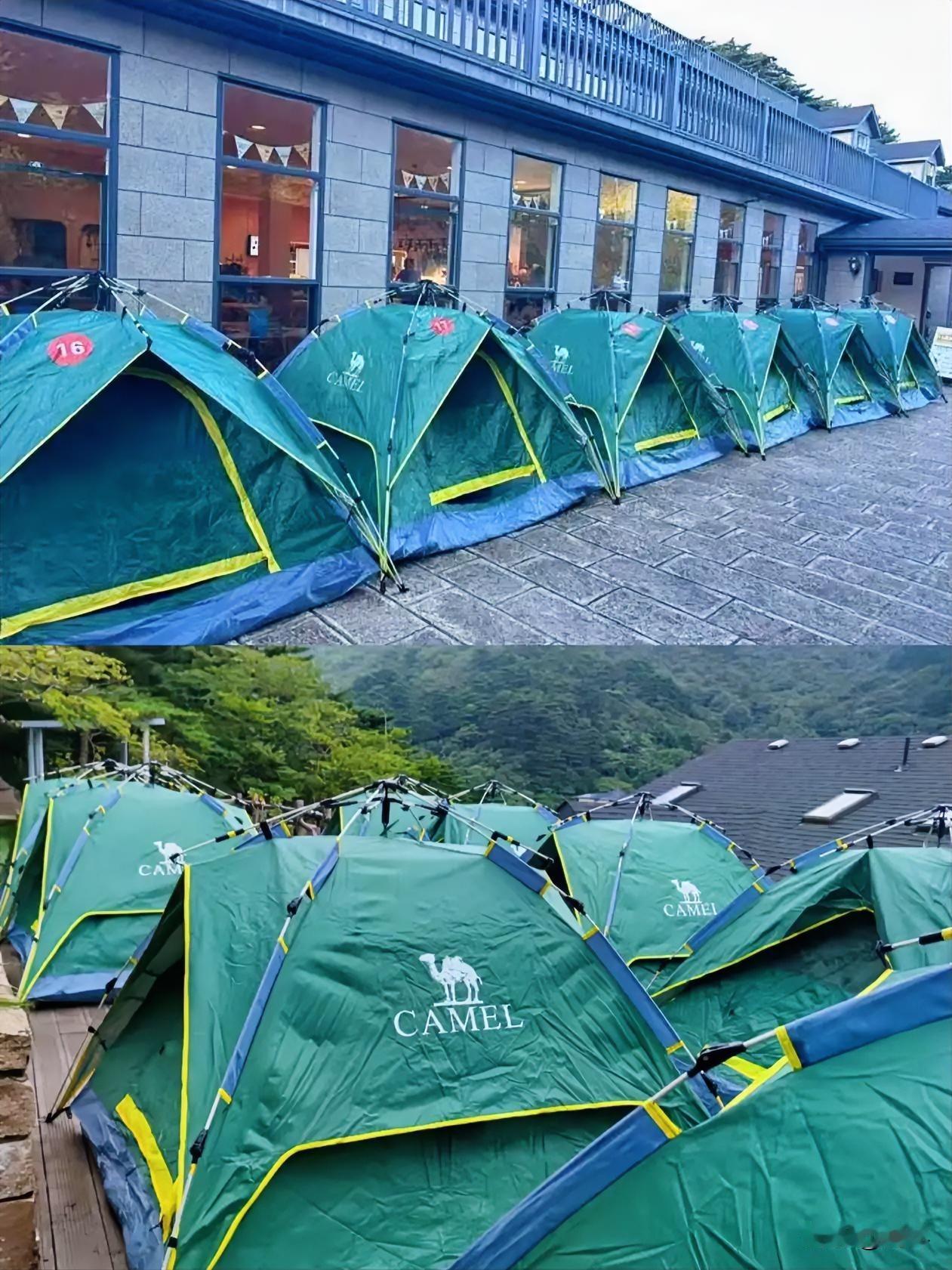 那些成倍涨价的酒店，现在哭晕在厕所了吧！又被年轻人整顿了，没想到居然被65一晚的