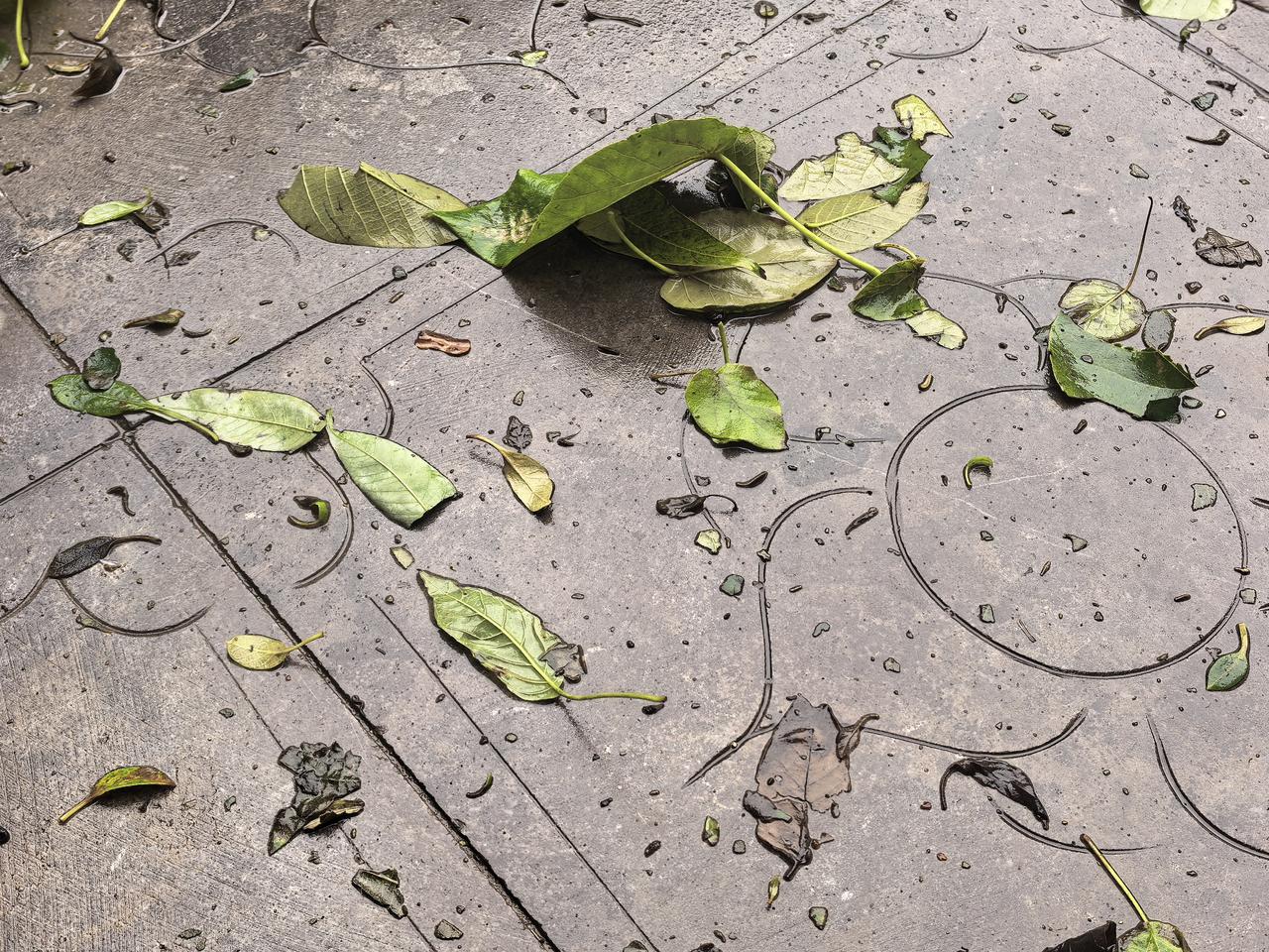 【进入冬天的河北，冷的让人发懵】持续了近半个月的雨，送走了本该到来的秋天，也差