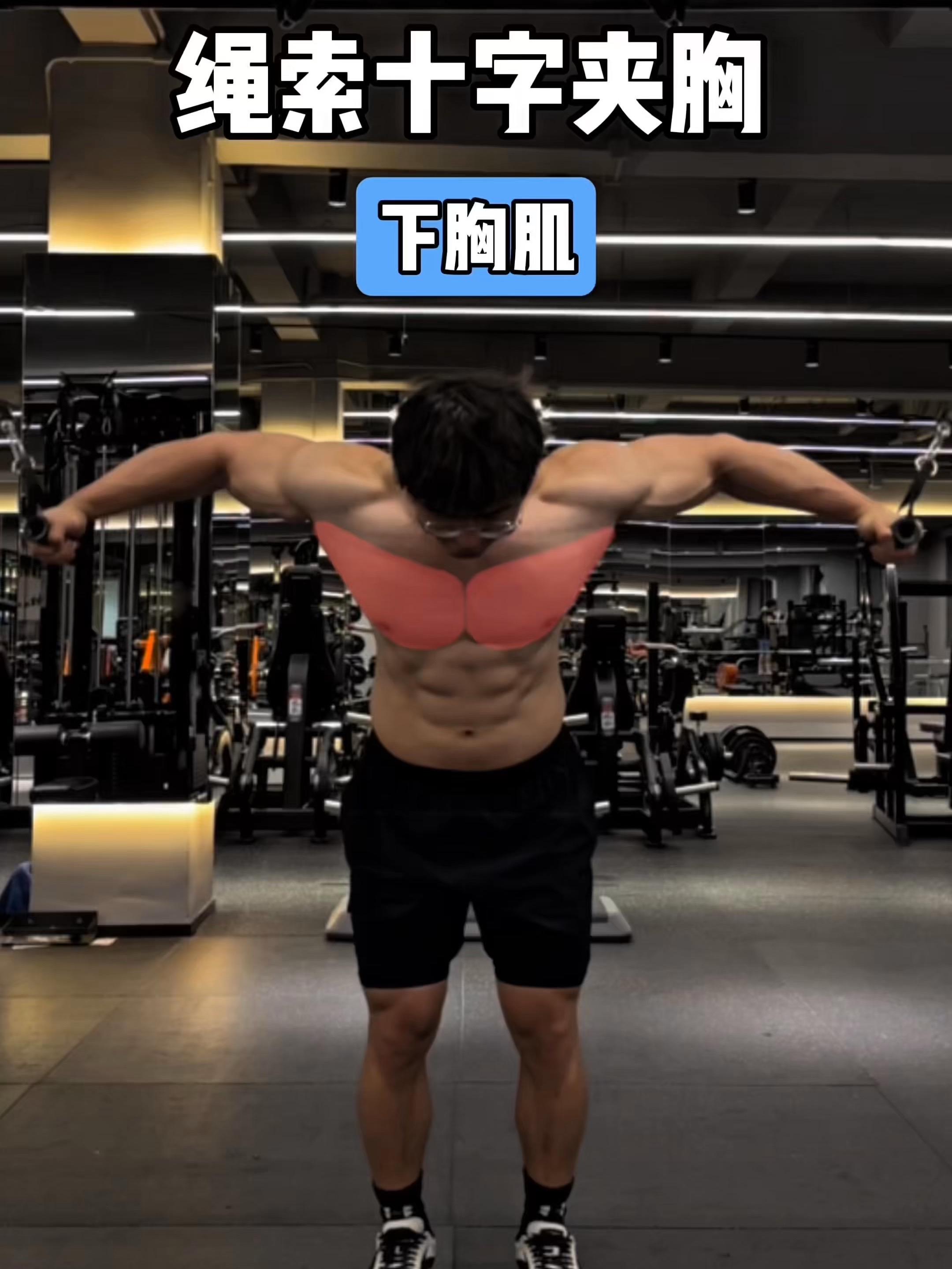 绳索十字夹胸，保姆级教程！ 一、目标肌群 绳索十字夹胸，下胸肌 二、练...