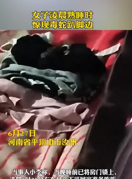“不幸中的万幸！”河南平顶山，一女子凌晨被父亲敲窗喊醒，起身下床时发现有条1米长