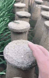 长见识了韭黄原来是这么种出来的