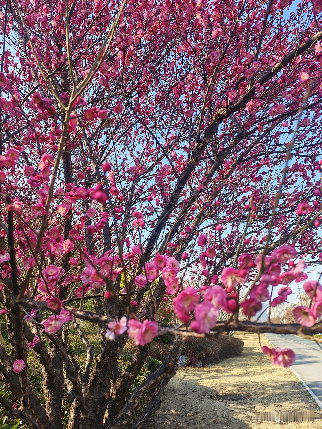 总看到有人说工作三四十年，退休时还没有评上副高职称。甚至还有人连中级职称都没有评