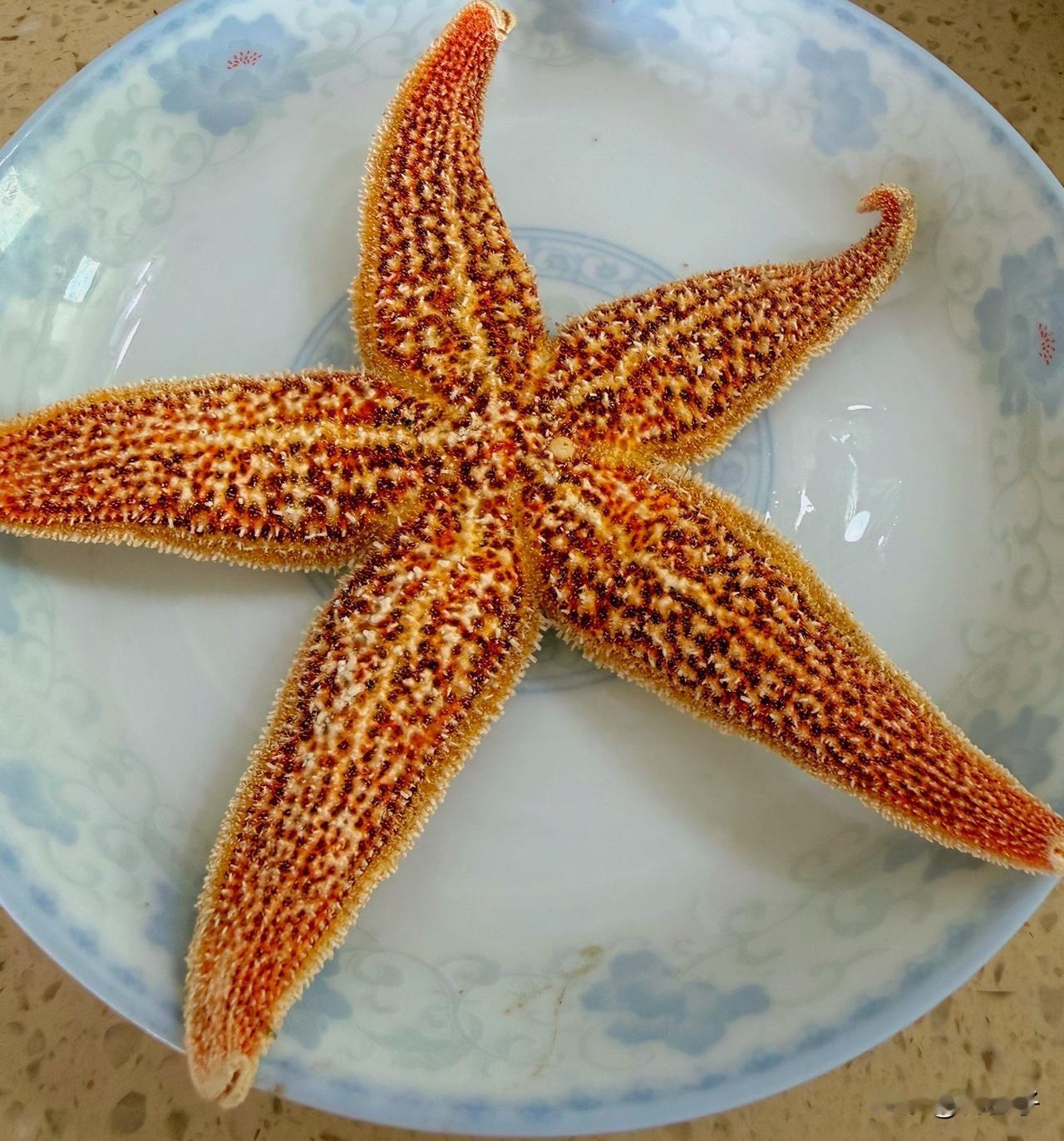 1999年在青岛第一次吃海鲜，我跟我们经理说：还不如鱼香肉丝好吃！1999年