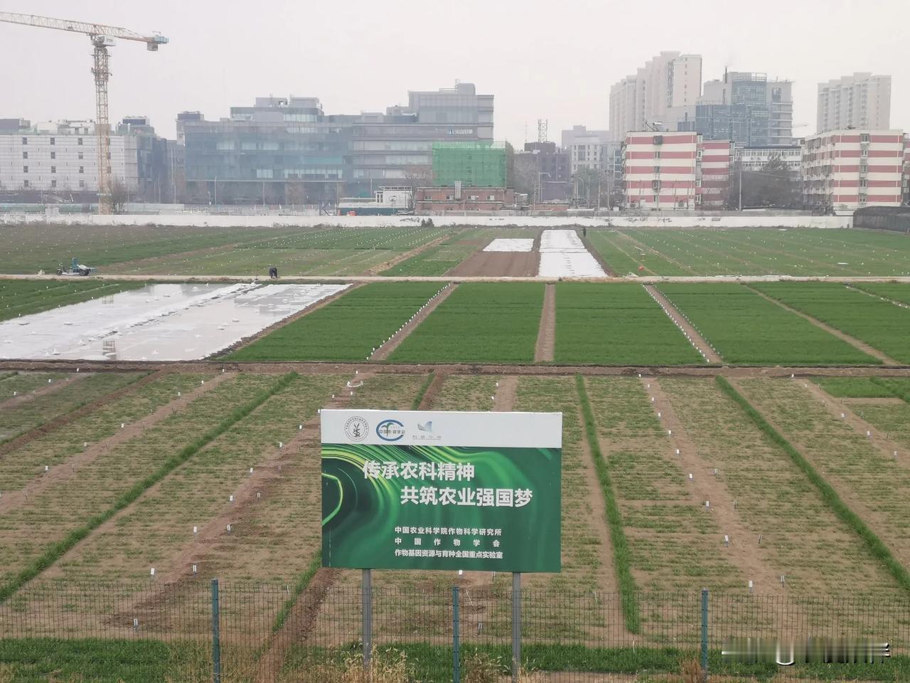 谁是奥运史上最黑的马？2002年盐湖城冬奥会上，澳大利亚男子短道速滑选手史蒂文