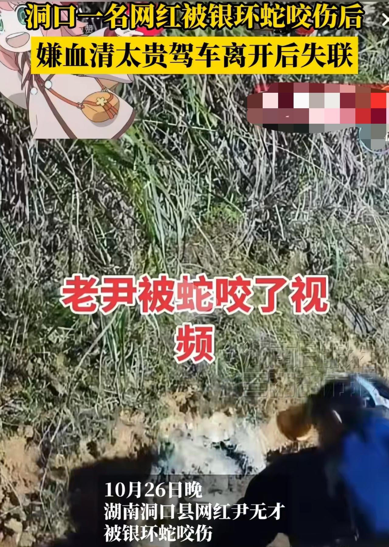 26号夜里,湖南那59岁的网红尹华健,正开着直播挖蛇呢,冷不丁就被银环蛇咬了左手