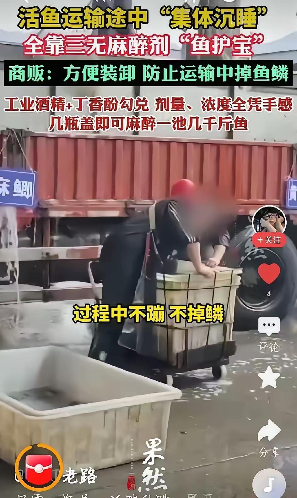 吃鱼的，估计想掀桌的心都有了！重庆、山东、安徽多地水产市场被曝猫腻，商贩往鱼桶