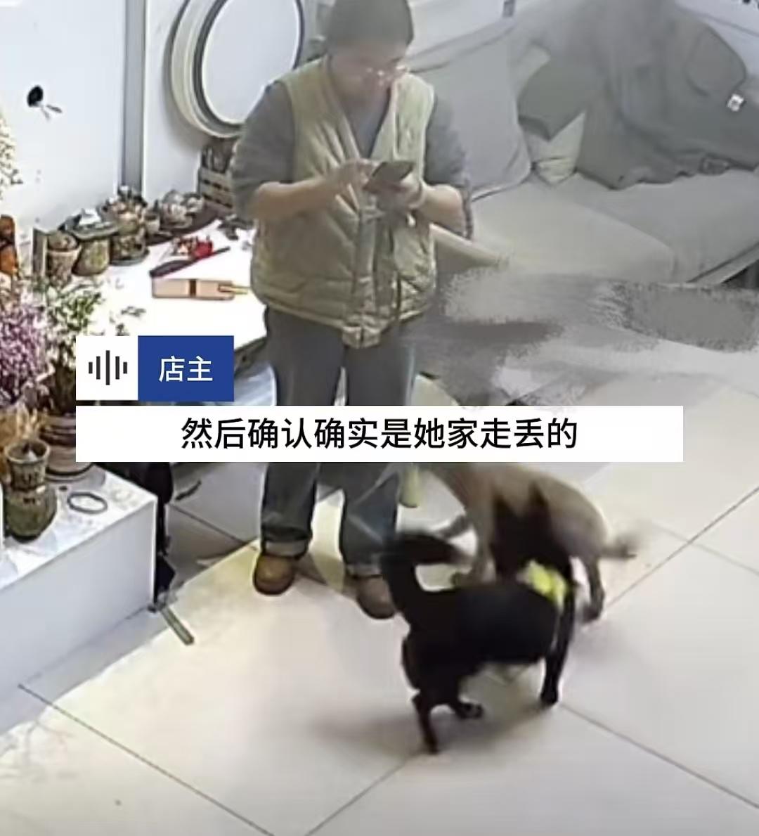 狗界小英雄！2月20日，山东临邑一女子正在看店，发现自己家小黑狗带回来一条陌生小