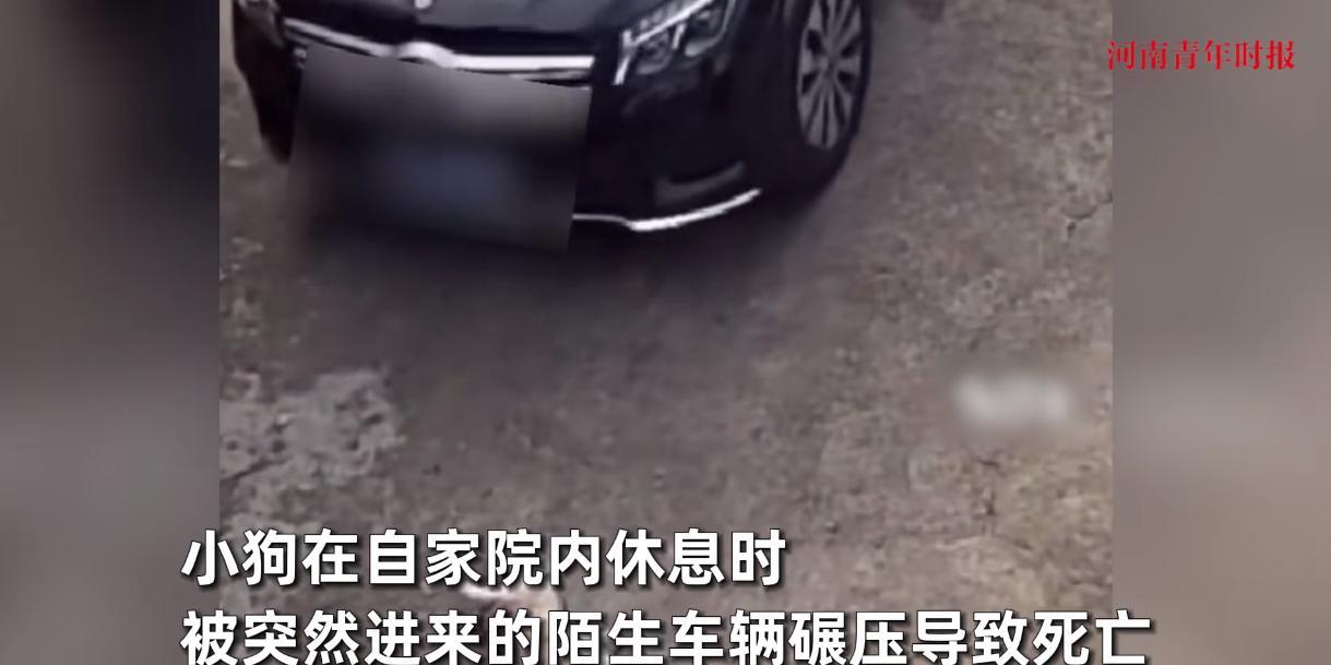 悲剧还是发生了！近日，浙江湖州，一辆黑色奔驰车在村里打算掉头时，为了方便就开进了