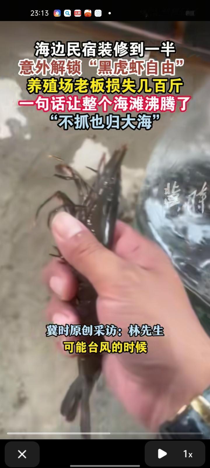 9月23日，宁德市霞浦县。林先生在装修海边民宿一半时，看到地下水池会反光就跑下去