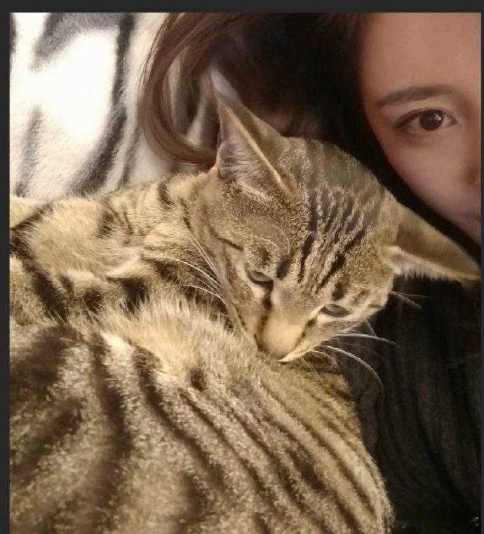 杨幂招聘助理要求杨幂招聘助理会简餐照顾小猫咪会做饭、懂照顾猫咪，简直是理想型助理