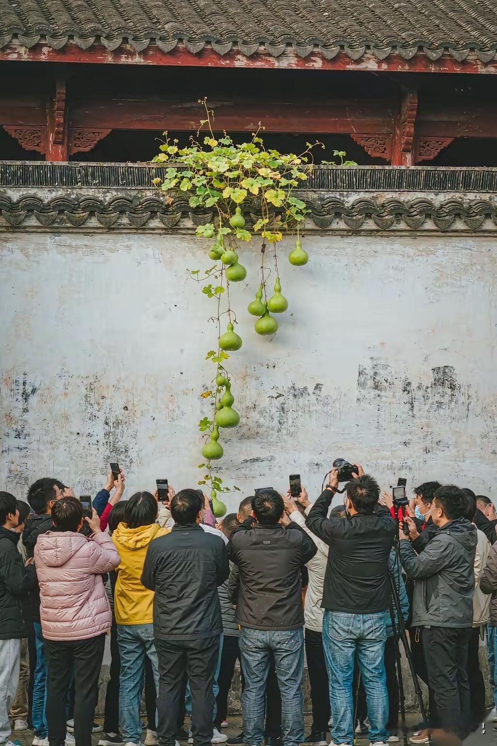 他们怎么这么闲啊