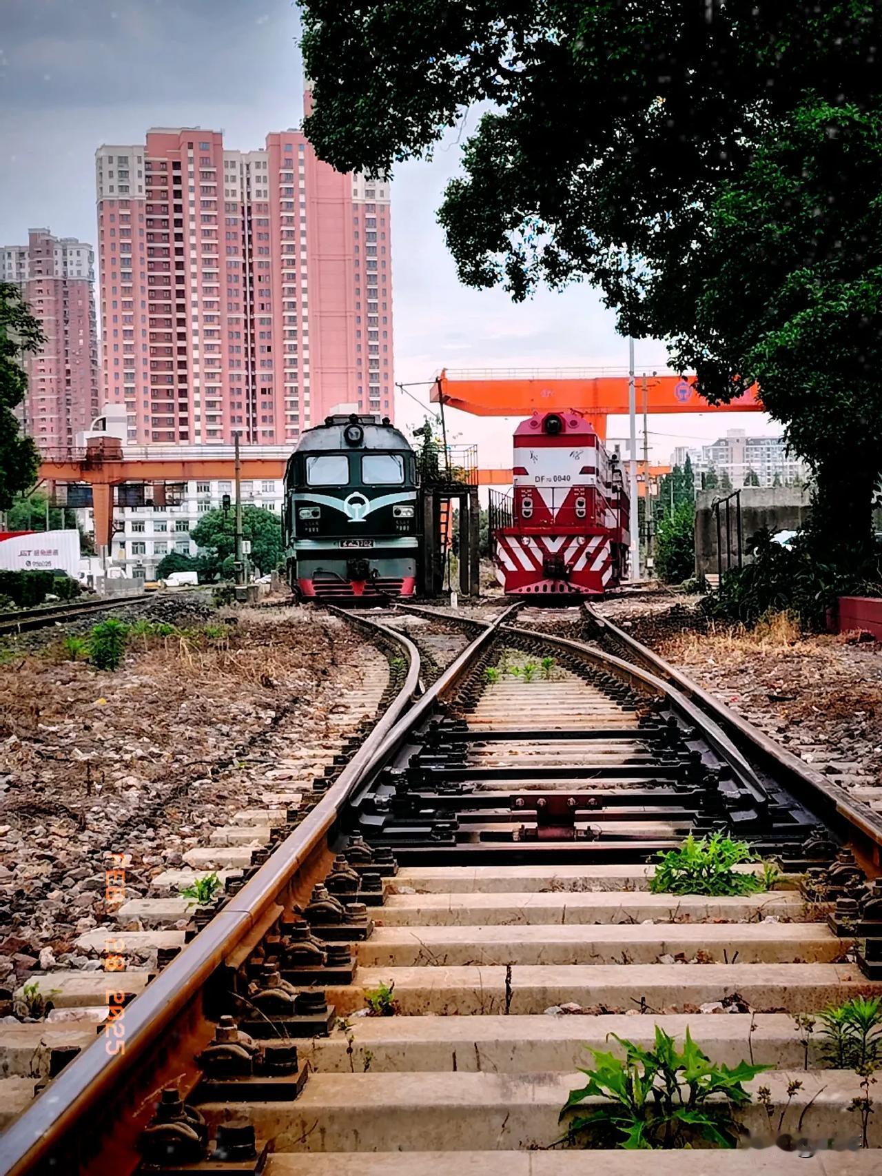 80年代，这几列火车：强盗车：一个到东北的火车，一个到昆明，一个到厦门，在上海早