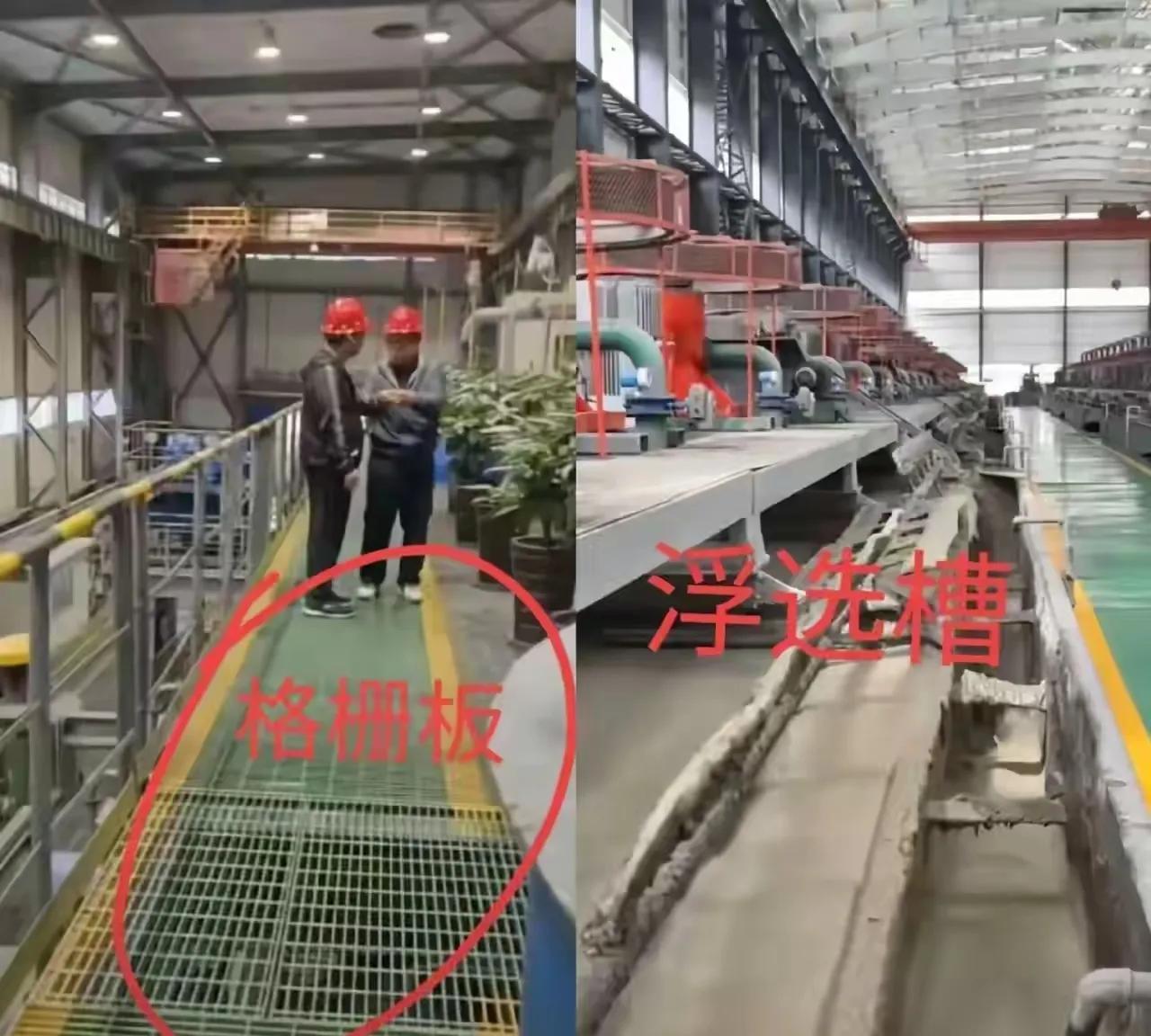 六个孩子多可惜呀！说没就没了！这次参观完中金黄金股份有限公司之后，这些孩子就放假