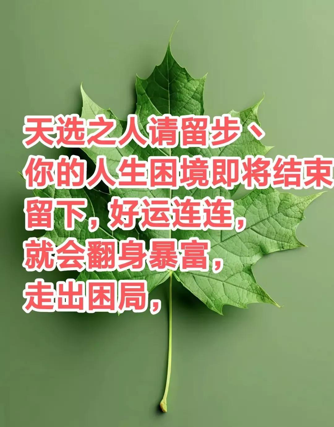 天选之人请留步丶你的人生困境即将结束，你经过长达八年的挣扎与磨砺，终于要迎来转机
