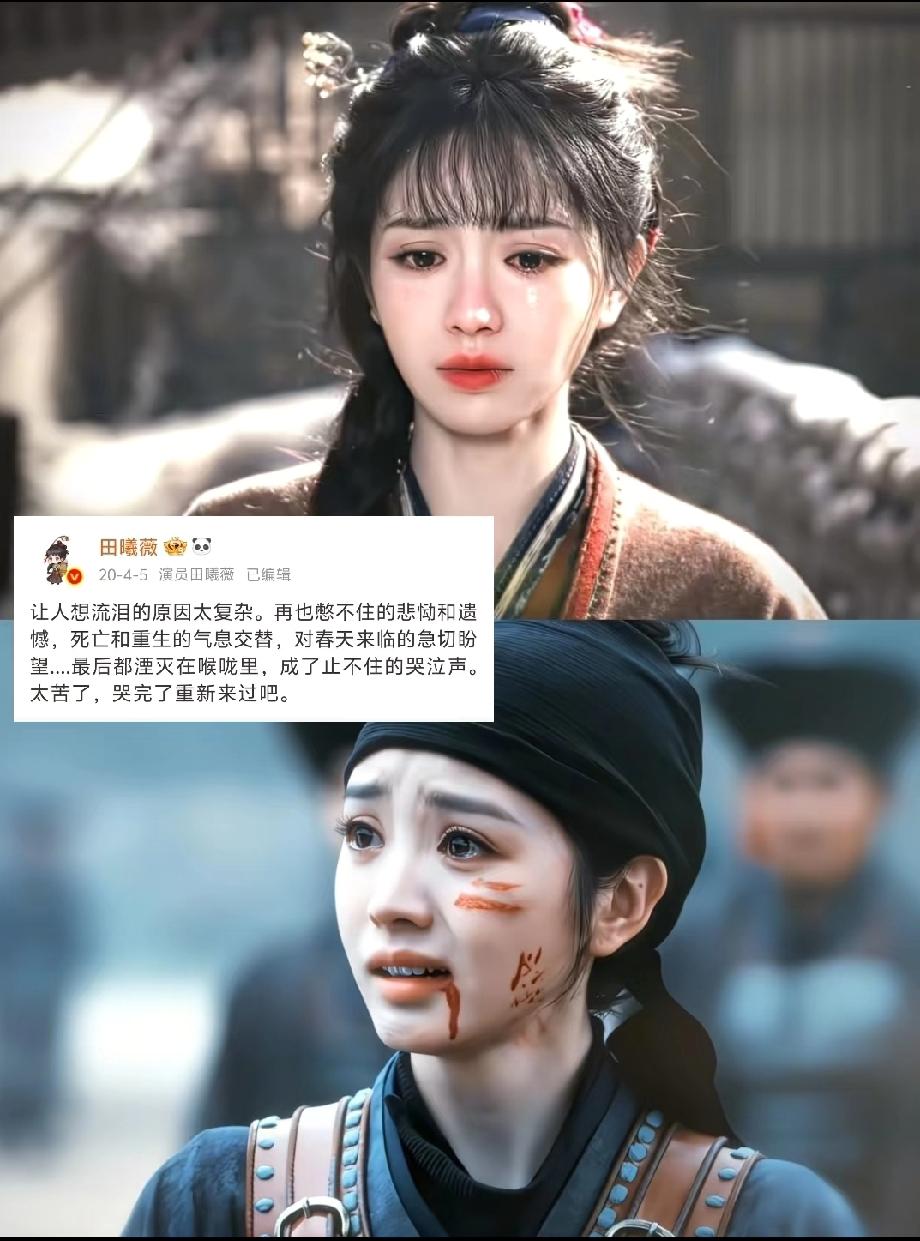 我去查了一下田曦薇这一查，果然查出她的来时路不一般，她是重庆人，单说样貌有多