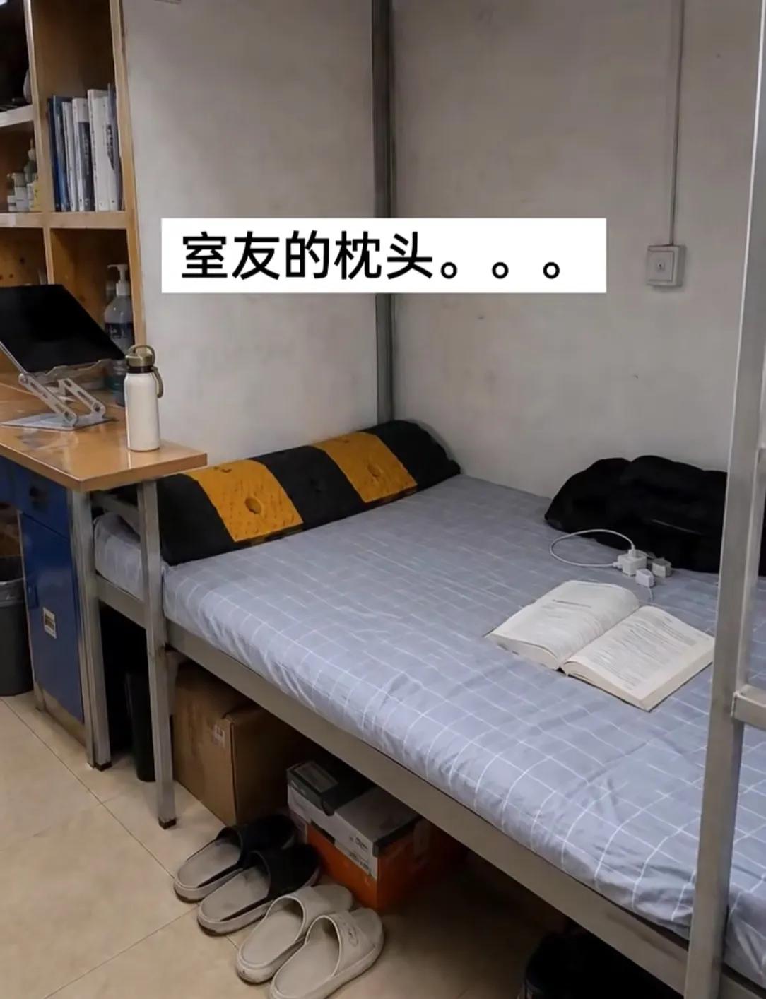 真的大开眼界，看看我室友的枕头，居然拿道路减速带拿来当枕头。睡上去不知道是什么感