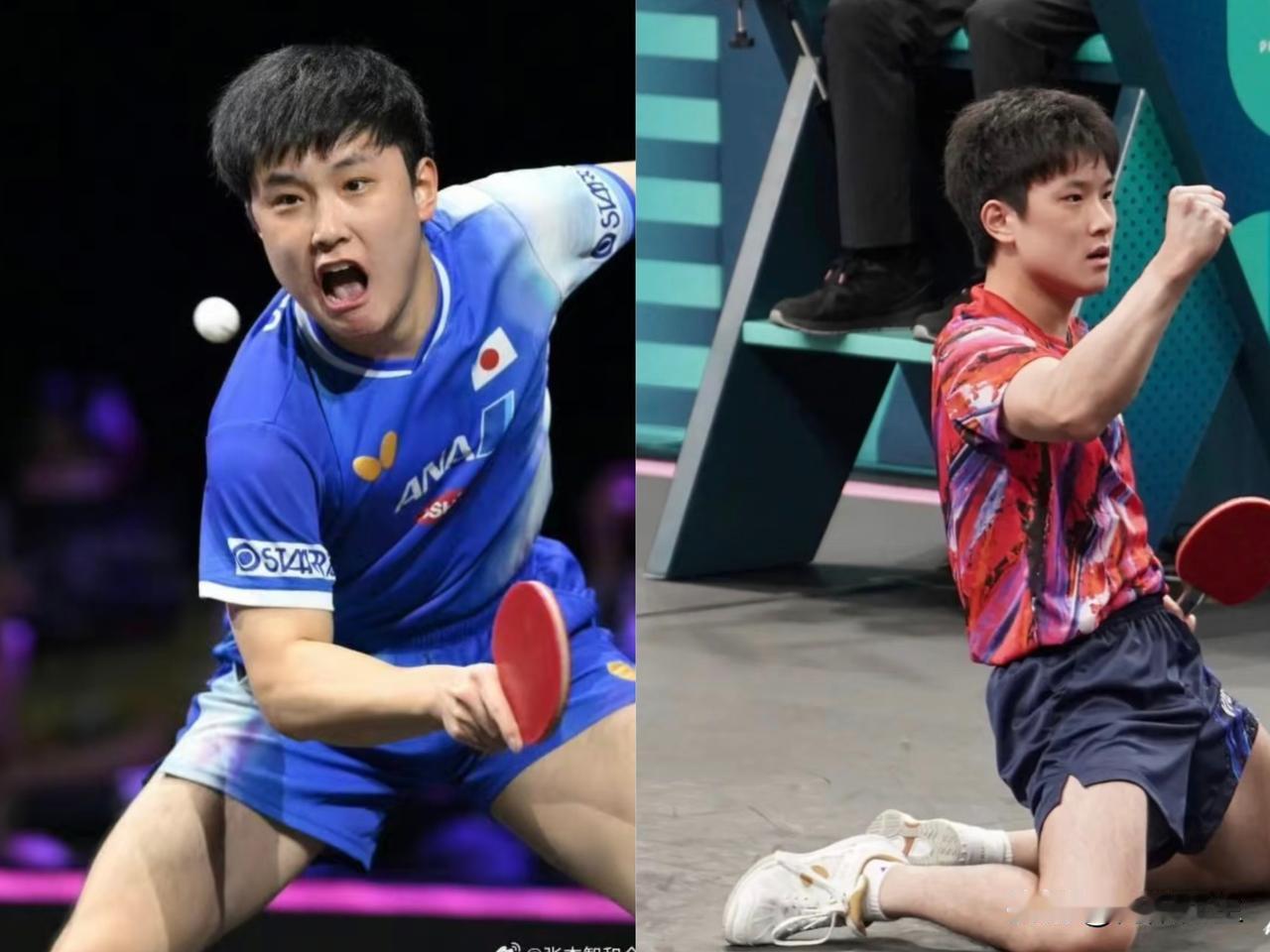 张本智和这次在香港夺冠，本来是凭本事吃饭，结果这一嗓子，直接把饭碗给砸了。