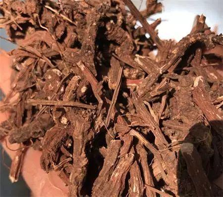 丹参的7种功效, 5类人群禁止服用!