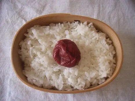 日本有一种饭，要是放在中国，根本无法想象。这种饭叫做梅子盖饭。一碗硕大的米饭上