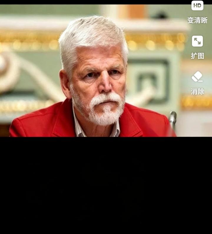 捷克总统帕维尔这一手，确实有点意思。当着泽连斯基的面把话挑明了：飞机给你，L