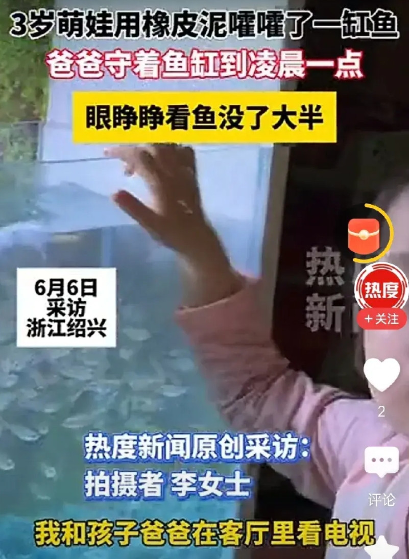 这打挨的一点都不冤！三岁萌娃把自己的橡皮泥放在爸爸的鱼缸里，结果不出意外的，没
