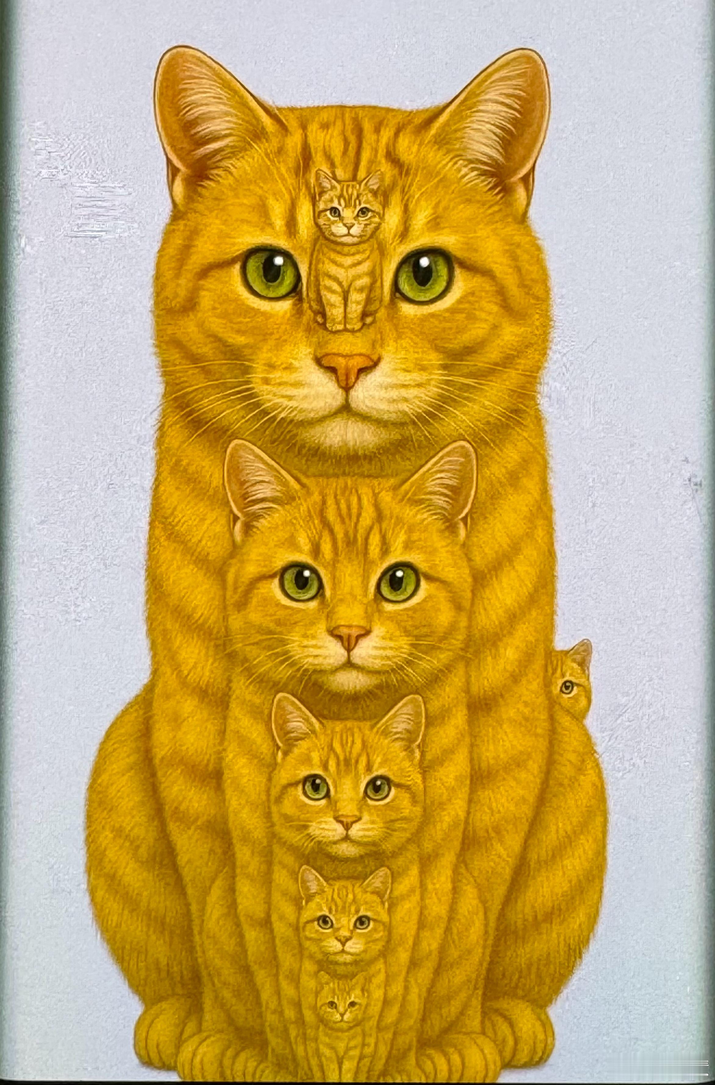 你能看到几只猫咪？平均区留言你的答案！