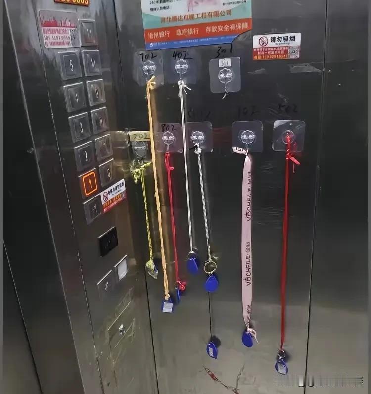 这是啥意思整不明白