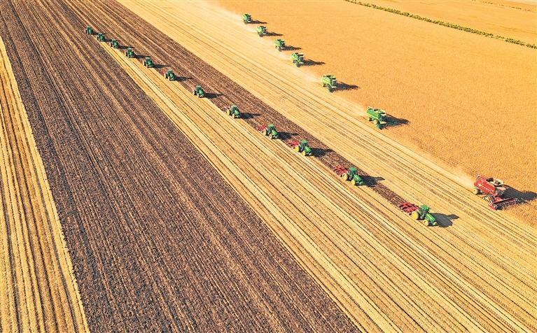 守护好“耕地中的大熊猫”