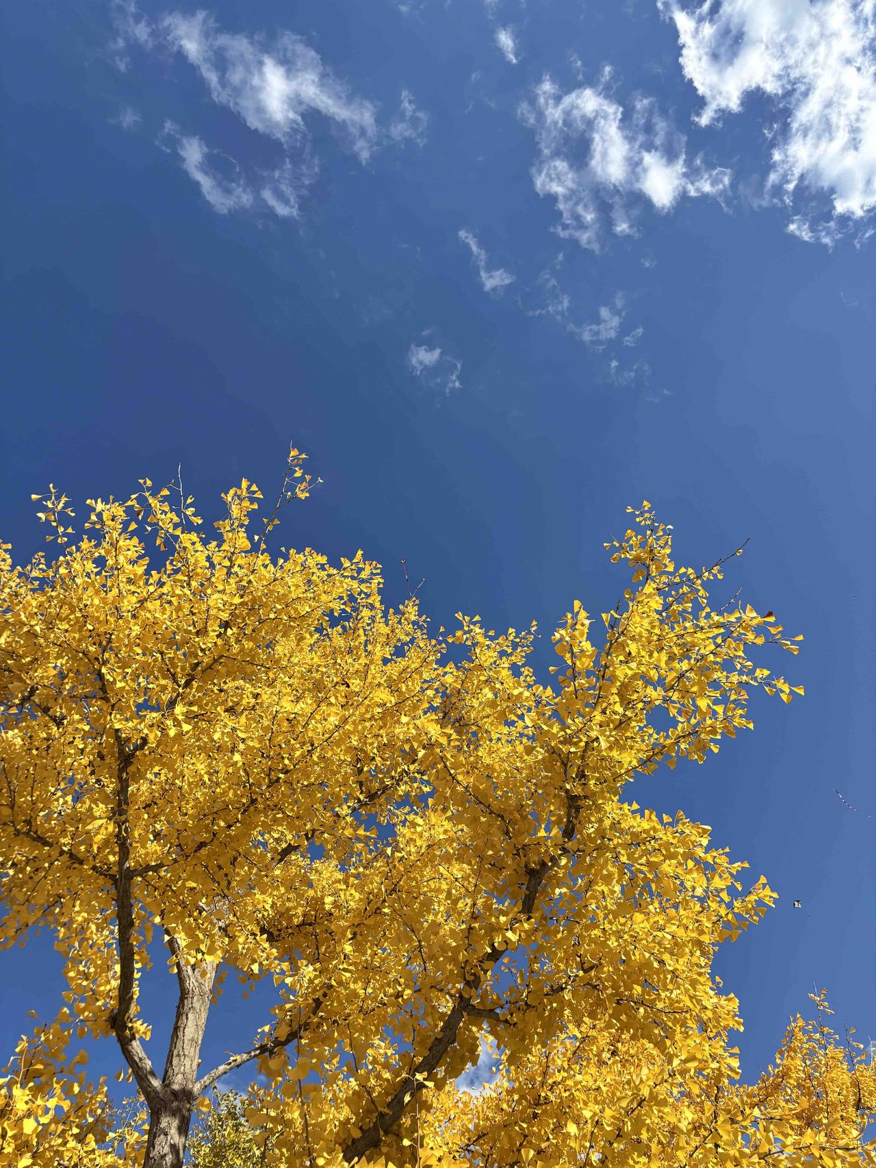 人，对一件小事，记仇能记多久？一个朋友25岁的时候，表嫂给她介绍一个42岁的