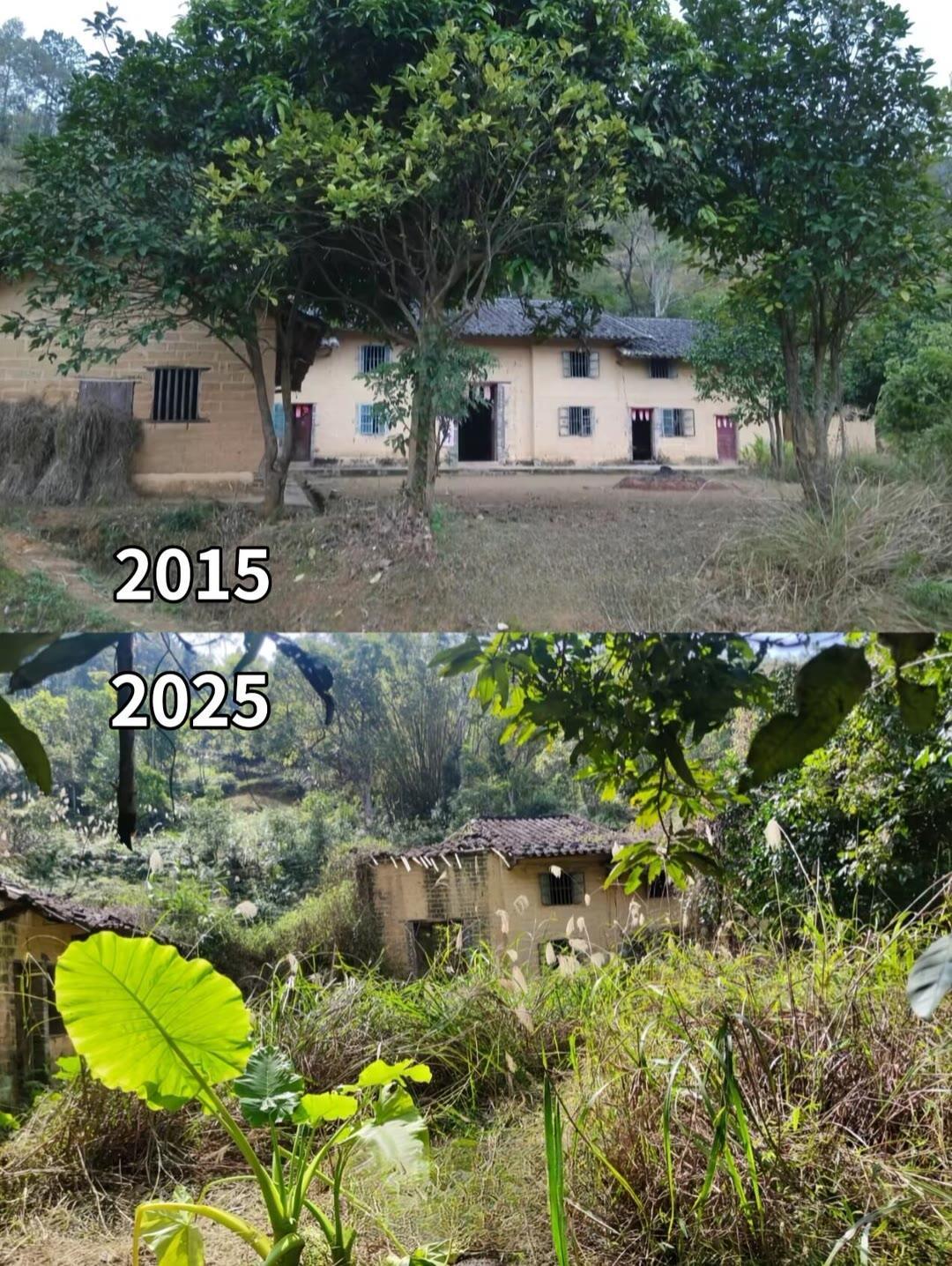 人气，气场，人一旦离开，老屋就开始衰败，最后又会回归自然。庭树不知人去尽，春来还