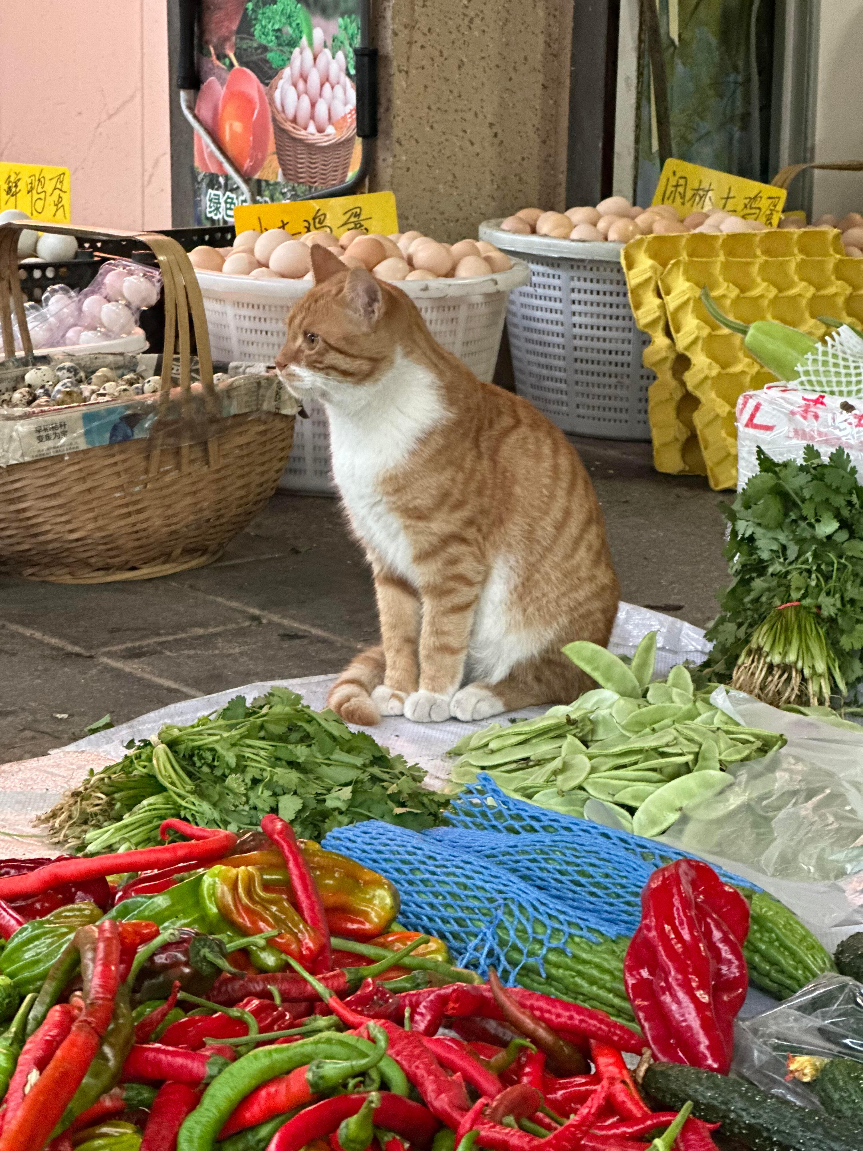 咪:你要微辣中辣，还是我这种火辣？