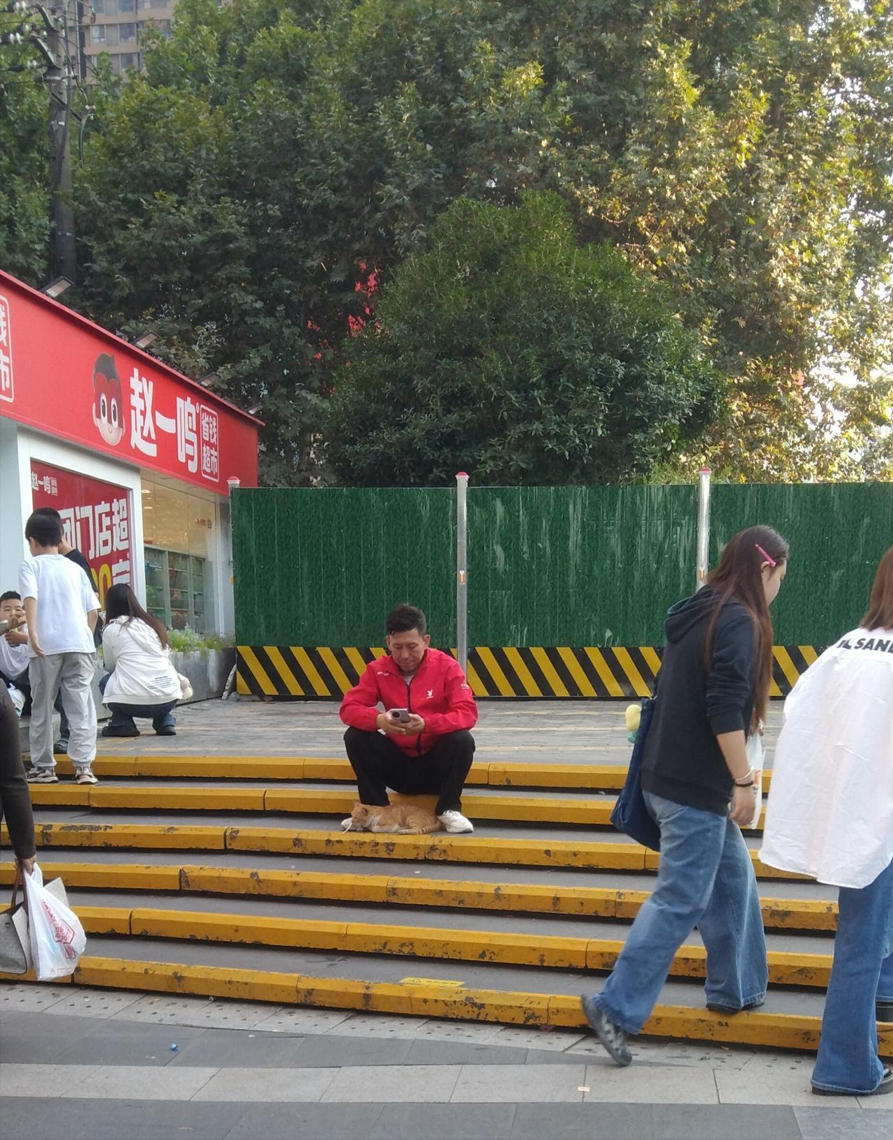 街头偶遇一只流浪小猫咪，一点也不怕生，跟随大男孩嬉闹，舔食姑娘们掌心的面包屑，还