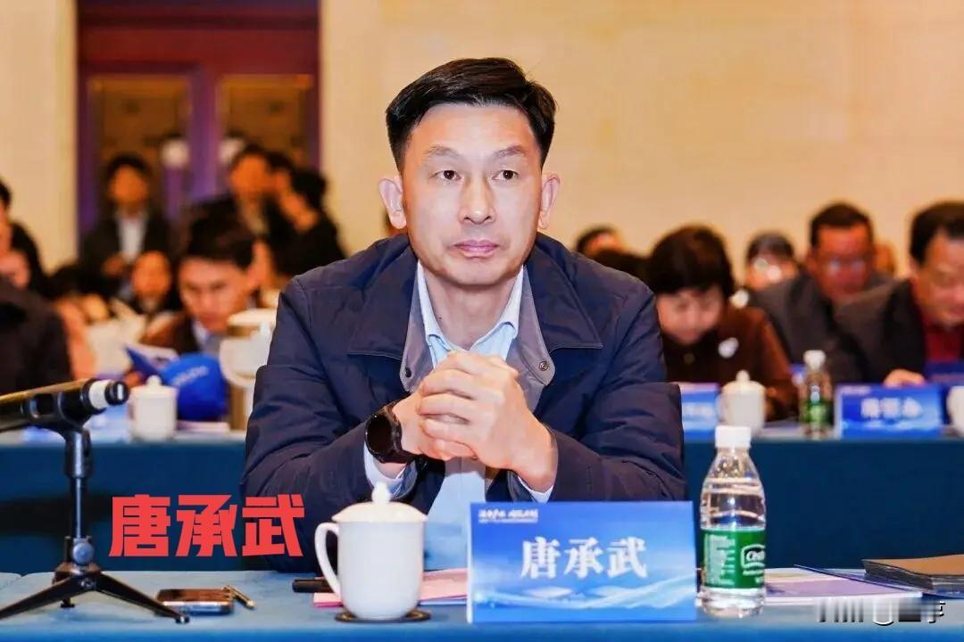 凌晨0点整！南京玄武区副区长唐承武被查，深耕园区15年手握千亿资源2026