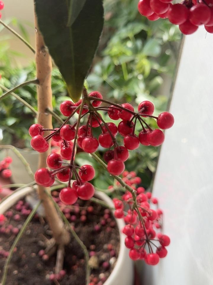 在单位里，巨容易留下把柄的6个行为你要是做了，就等于把刀递到别人手里了。