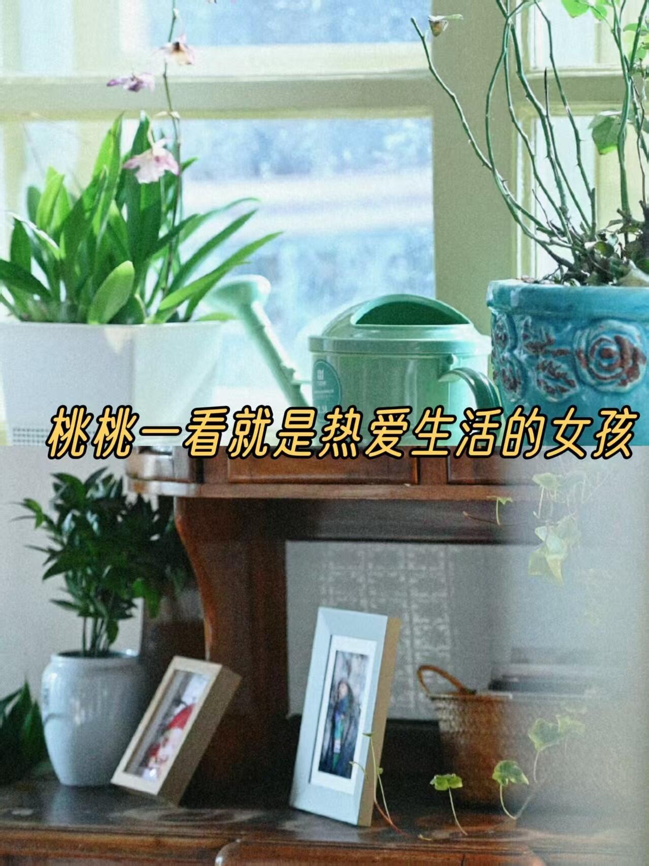 剧集早春晴朗《早春晴朗》在画面上的细节真的太用心了。谁发现了，连工位都
