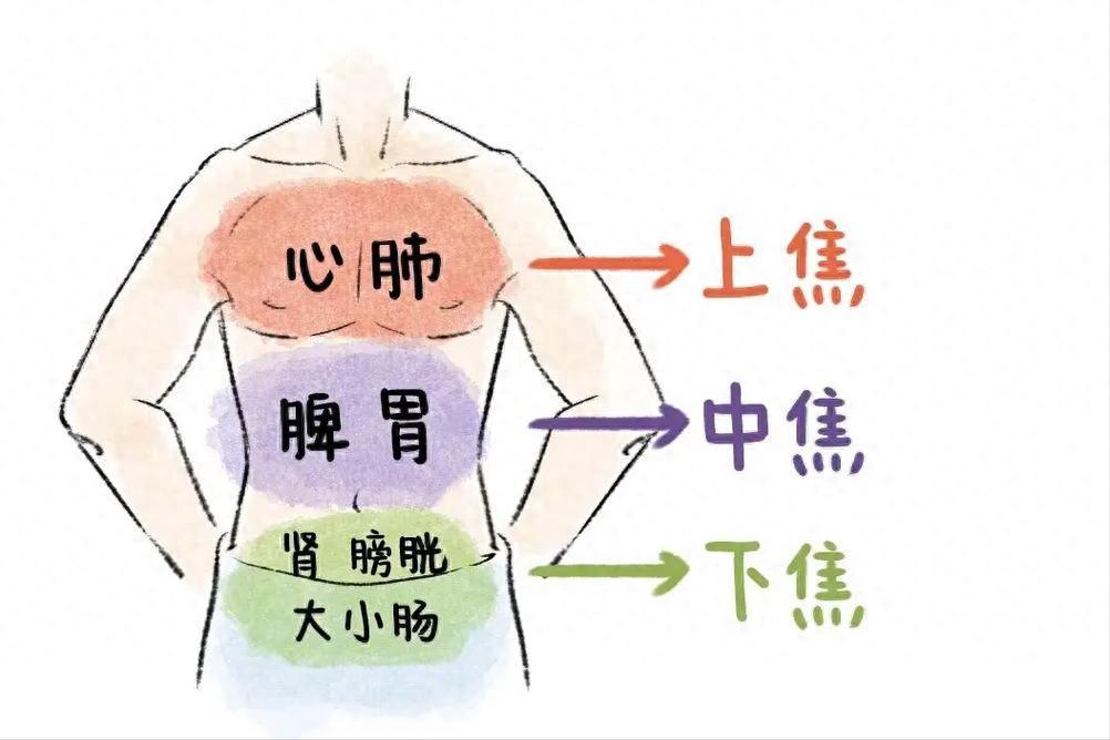三焦不通，湿热必生！打通三焦一把清，湿热连根铲干净我是中医陈大夫，内容仅作健康
