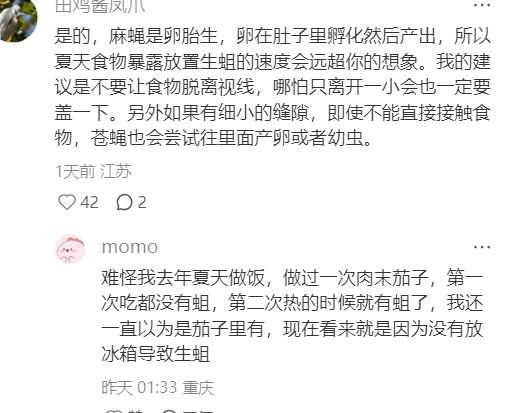 终于明白为何餐厅出现苍蝇不能忍