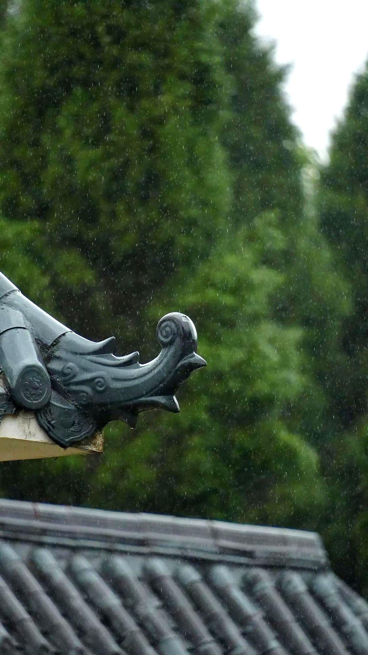 昨天听朋友聊她家的事儿，挺有意思的。她老公平时不怎么主动献殷勤，那天突然给她端茶