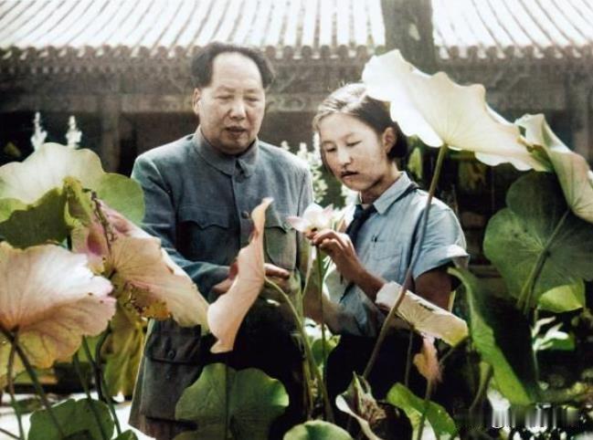 1951年，毛泽东与女儿李讷在中南海观赏荷花的场景，是一代领袖家庭生活的珍贵剪影