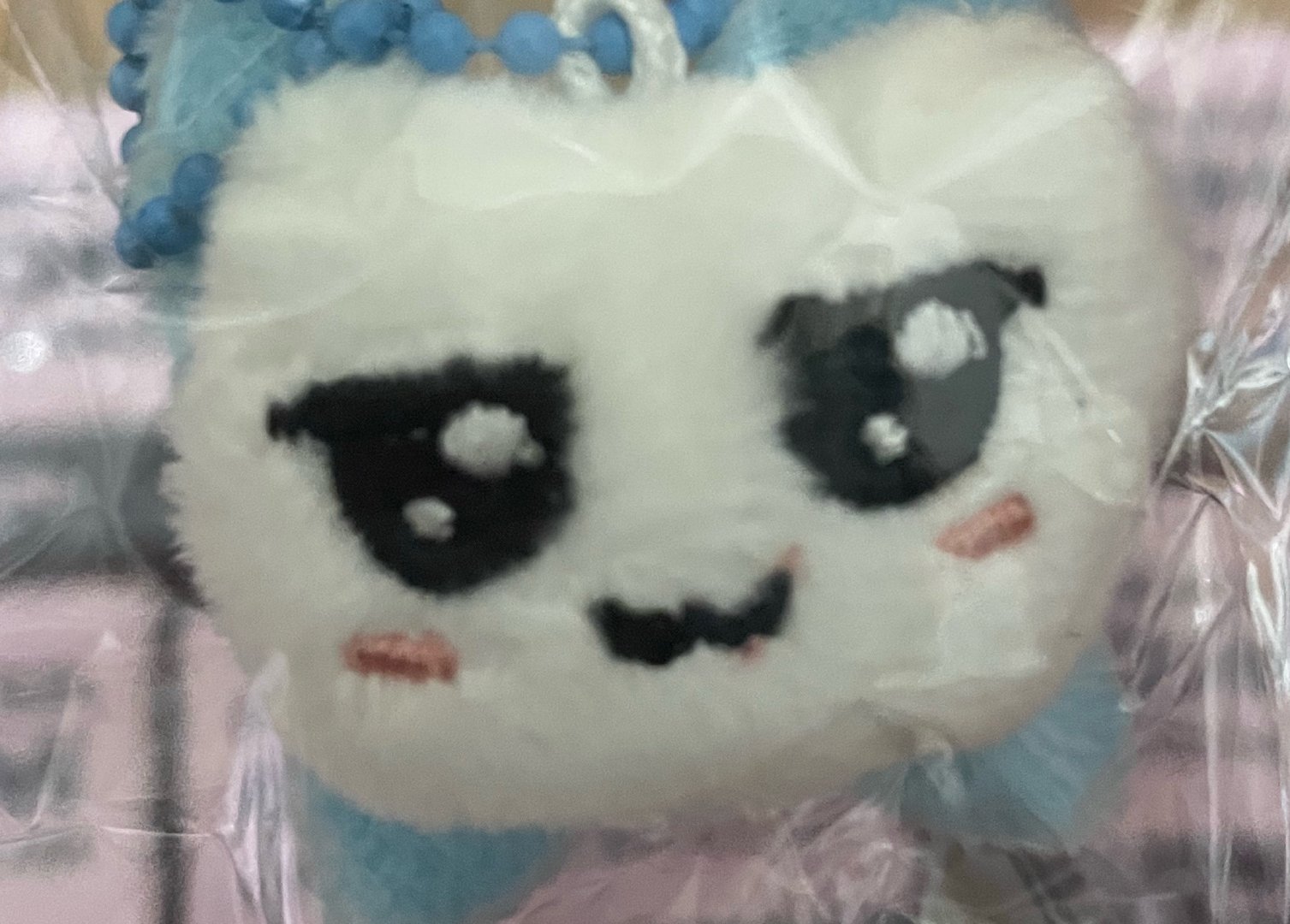 小馋猫来的上次流口水这次偷吃火龙果！