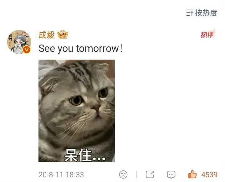 存：成毅严选表情包