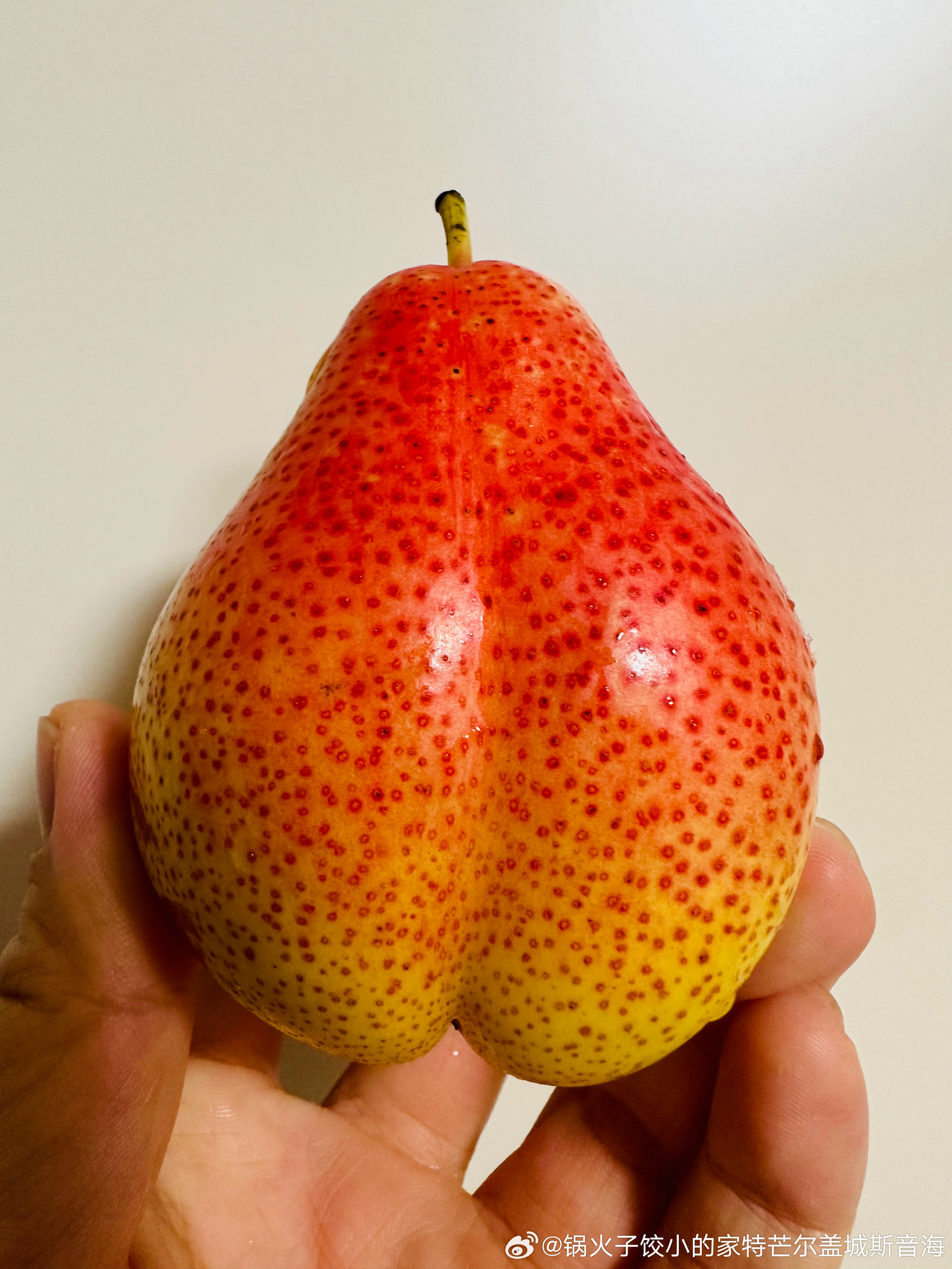 谁知道这个长得像袋鼠阴囊的梨叫啥嘛？口感超级好，超级超级很好吃荣膺我最喜欢吃的梨