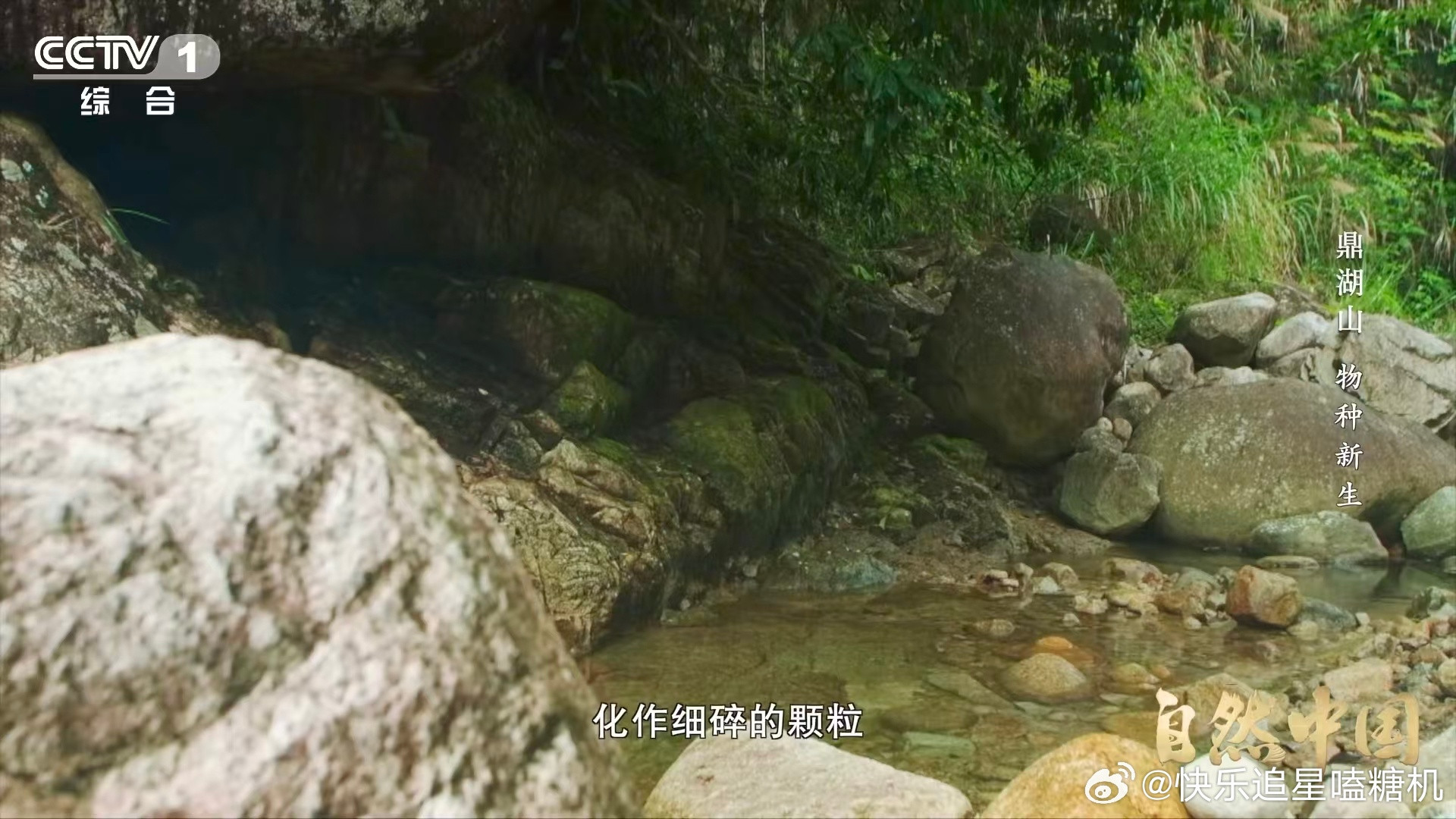 土壤的土腥味从何而来岩石要经过风吹雨打变成颗粒，植物要分解成腐殖质，微生物要不