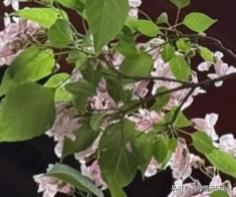 有网友说：有这手艺月入五万不难，他为何偏要用来制作一个复仇“快递”？这两