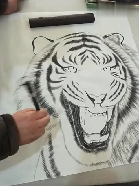 小老鼠和大老虎