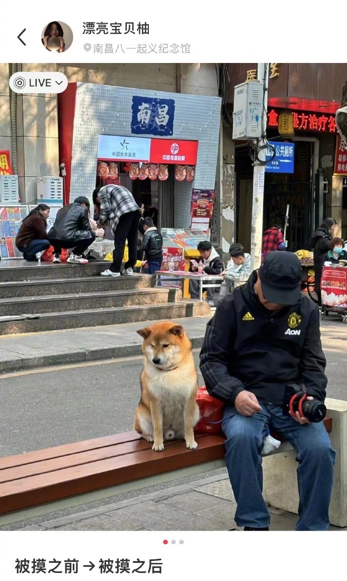 情绪外露的小狗​​​
