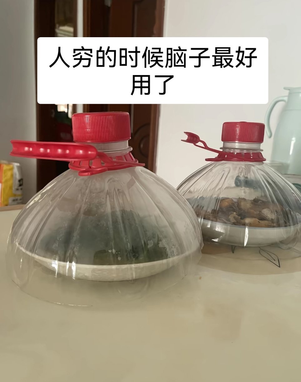 人在穷的时候脑子最好用