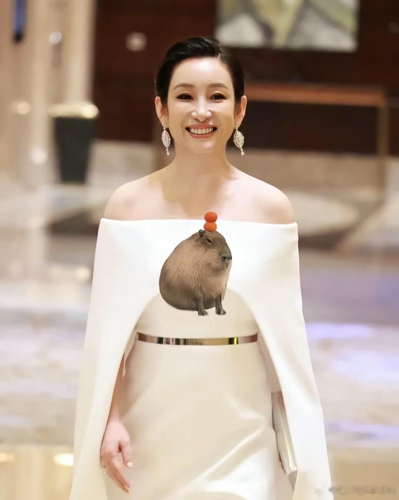 这届金鹰不拼衣服拼实力，入围的一个比一个穿得素！翻了一圈金鹰奖的图，发现入围的演