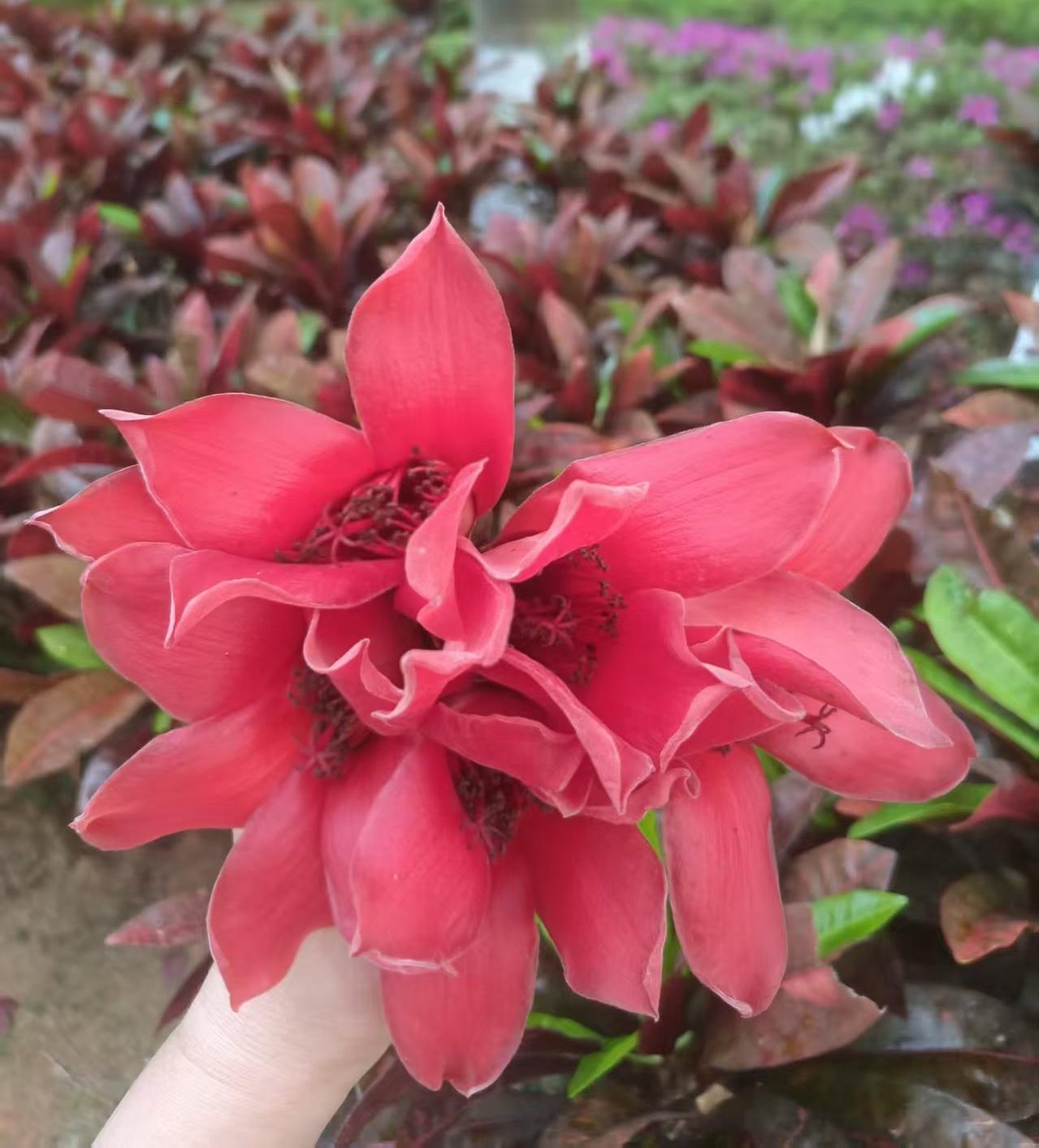 老师说：把自己活好，就是给孩子最好的礼物。一个焦虑、牺牲感满满的父母，给不了