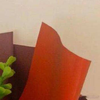 成长是憧憬和怀念的天平，当它倾斜得颓然倒下时，那些失去了月光的夜晚，该用怎样的声